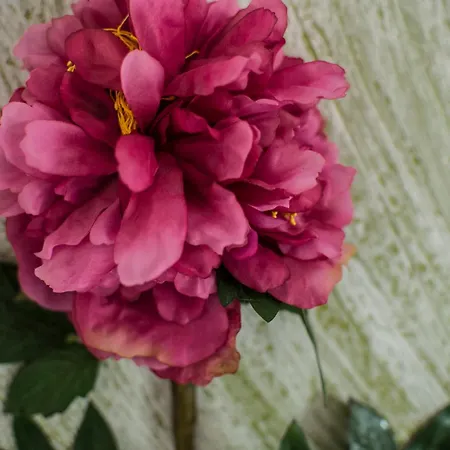 Hotel Giorgetti Orange 3*